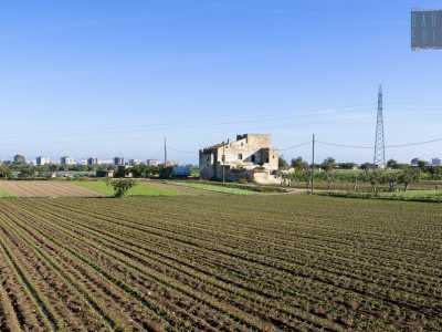 Tra i campi arati si erge in lontananza Torre di Mizzo 